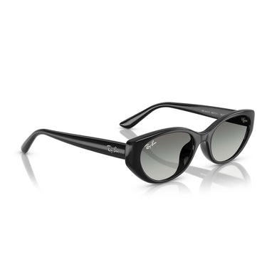 Ray-Ban Sonnenbrille RB4457D 667711 Schwarz/Grau Verlauf Unisex 5