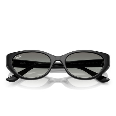 Ray-Ban Sonnenbrille RB4457D 667711 Schwarz/Grau Verlauf Unisex 6