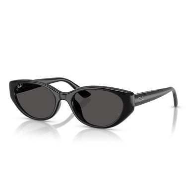 Ray-Ban Sonnenbrille RB4457D 667787 Schwarz/Grau Unisex 2