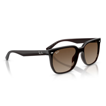 Ray-Ban Sonnenbrille RB4466D 714/13 Dunkelbraun Transparent/Braun Verlauf Unisex 4