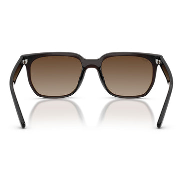 Ray-Ban Sonnenbrille RB4466D 714/13 Dunkelbraun Transparent/Braun Verlauf Unisex 3