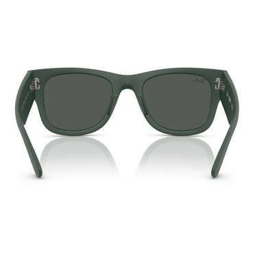 Ray-Ban Occhiali da Sole RB4840S 665787 Sabbia Verde Grigio Scuro Unisex 4