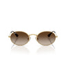 Ray-Ban Occhiali da Sole RJ9645S 223 13 Junior Oro Arista Marrone Sfumato Bambini 