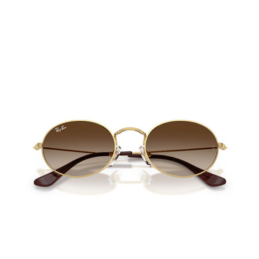 Ray-Ban Occhiali da Sole RJ9645S 223 13 Junior Oro Arista Marrone Sfumato Bambini 5