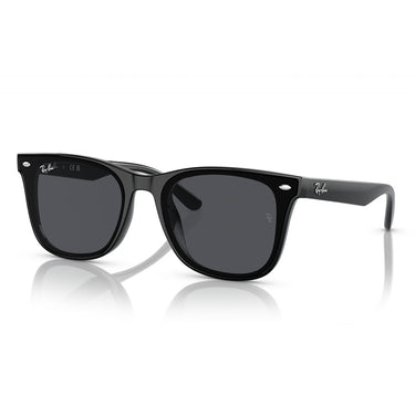 Ray-Ban Sonnenbrille RB4420 601/87 Schwarz/Dunkelgrau Unisex2