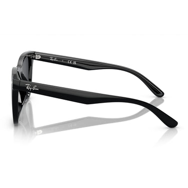 Ray-Ban Sonnenbrille RB4420 601/87 Schwarz/Dunkelgrau Unisex4