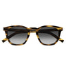 Saint Laurent Okulary Przeciwsłoneczne SL 28 045 Havana/Szary Unisex